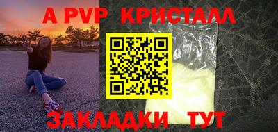 индика Гатчина
