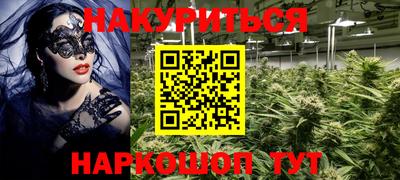 индика Гатчина