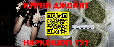 индика Гатчина