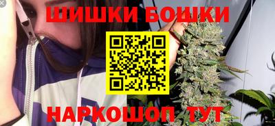 индика Гатчина