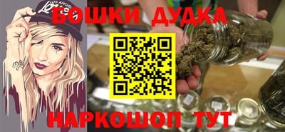 индика Гатчина