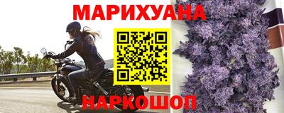 индика Гатчина