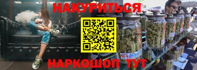 индика Гатчина