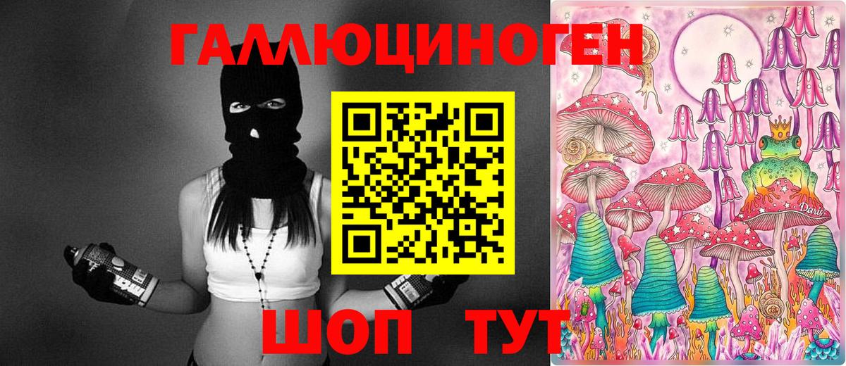 Нововоронеж  Галлюциногенные грибы GOLDEN TEACHER  закладки  Вход с VPN 